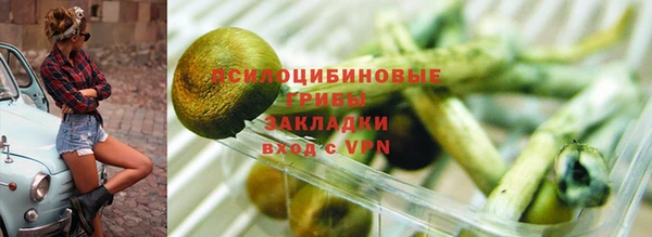 ешки Беломорск
