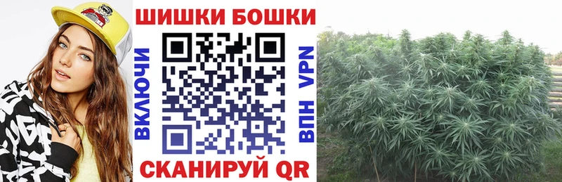 где купить наркоту Елизово Бошки марихуана ГИДРОПОН
